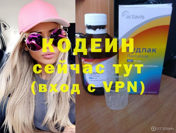 крисы Абаза