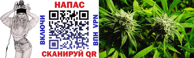 Конопля Bruce Banner  дарнет шоп  Новокубанск 